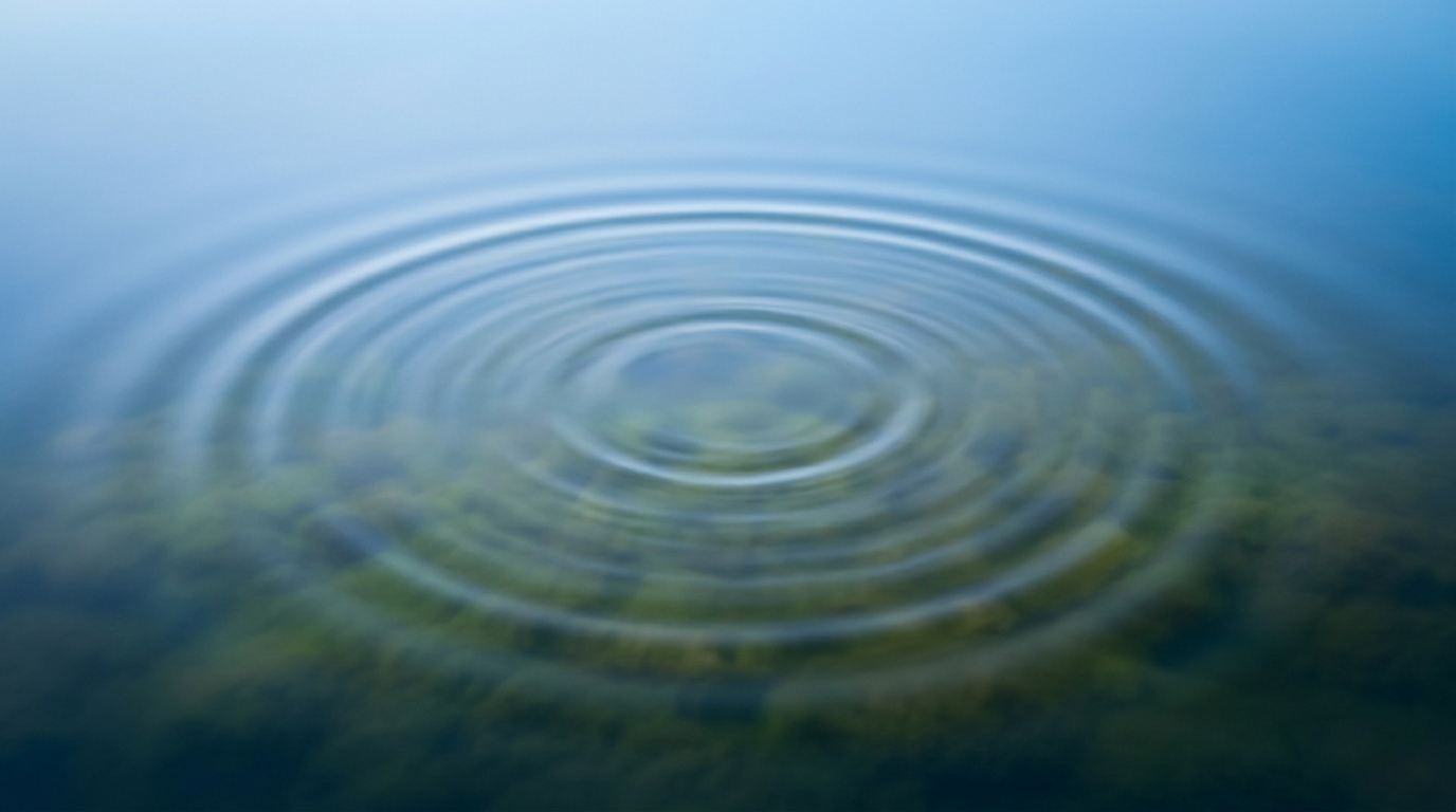 Featured image for “Blogbeiträge folgen in kürze”